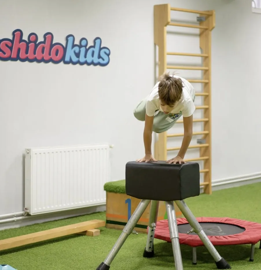 Bushido Kids