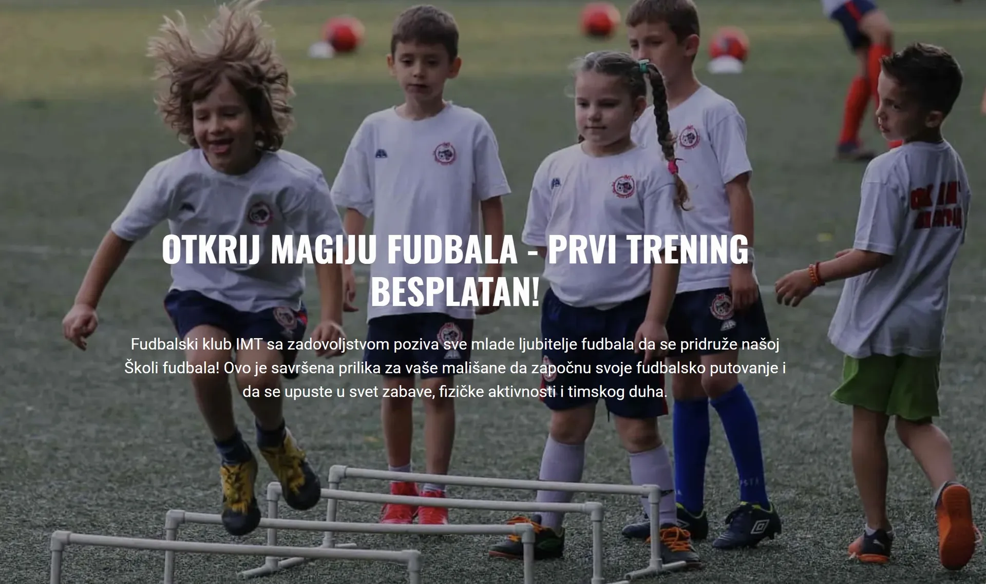 FK IMT School of Football