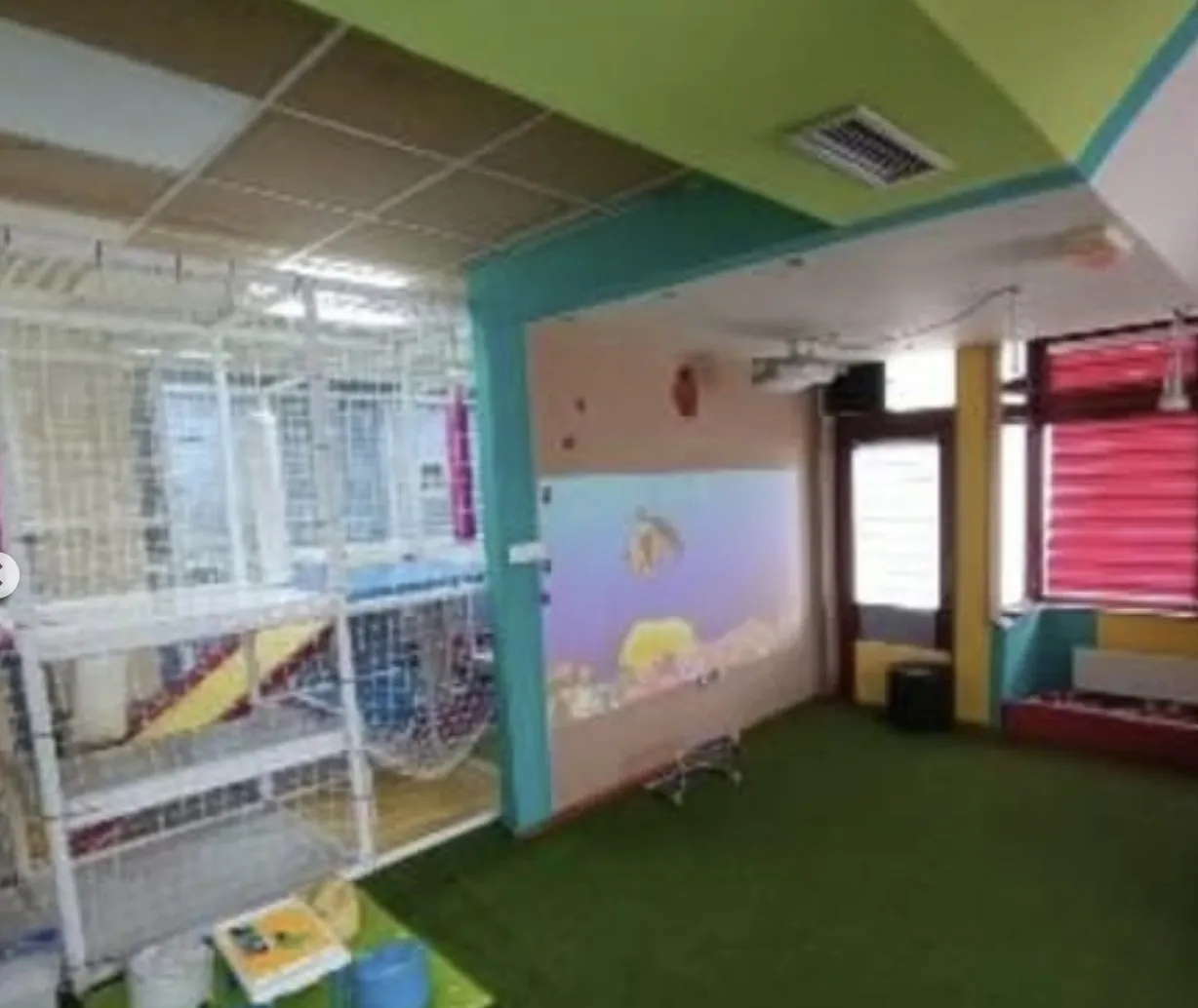 Sunce Playroom